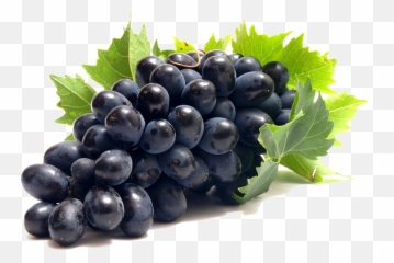 Grapes Fruits Png Transparent Images Clipart Icons - Grape Grape Png,Fruits Png