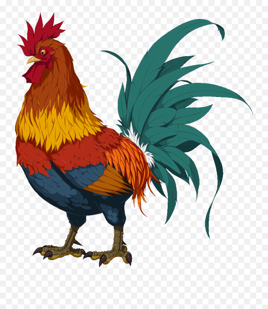 Bhopal Chicken Fategrand Order Wikia Fandom - Fgo Rooster Png,Chicken Png