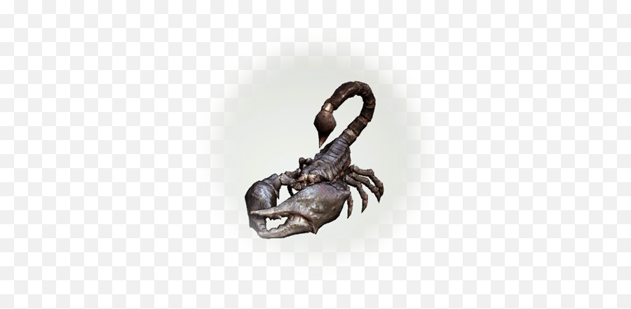 Bdo Toxic Desert Scorpion Bddatabasenetusnpc21237 - Emperor Scorpion Png,Fo4 Map Icon