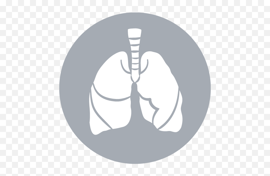 Images Lung Icon Png - 3507 Transparentpng Human Internal Organ Icon,Lungs Icon