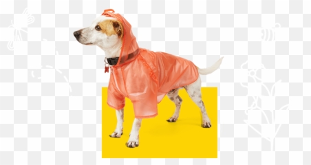 Pet Supplies Food And Products Petco - Dog Clothes png