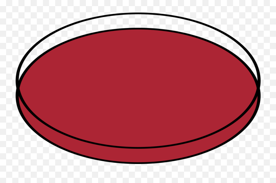 Filepetri Dishes Opensvg - Wikimedia Commons Red Petri Dish Icon Png,Dishes Png