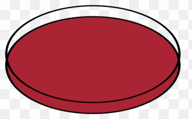 Filepetri Dishes Opensvg - Wikimedia Commons Red Dish Icon png