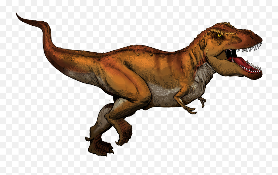 Tyrannosaurus Rex Colored - Color Are Tyrannosaurus Rex Png,Tyrannosaurus Rex Png