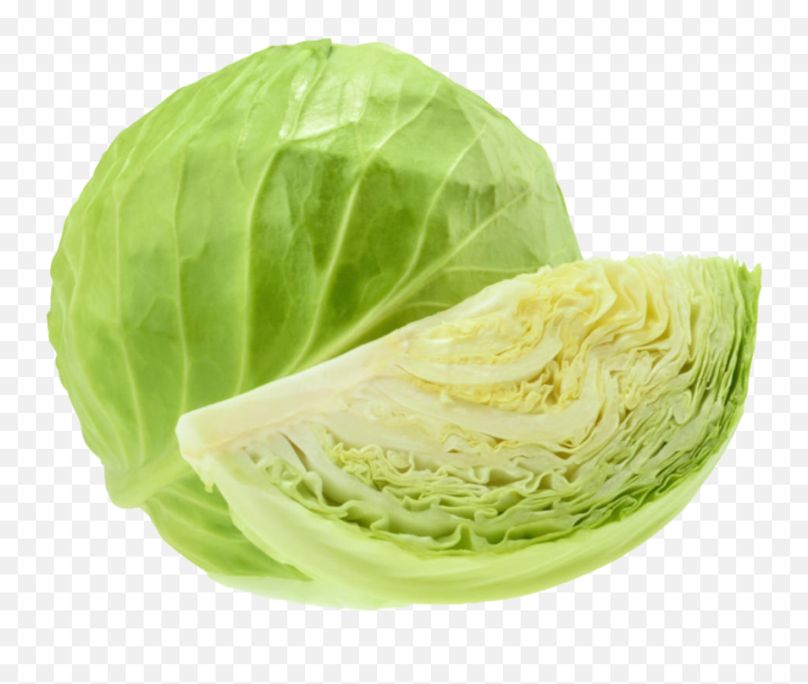 Cabbage Png Clipart Background - Cabbage Png,Cabbage Png