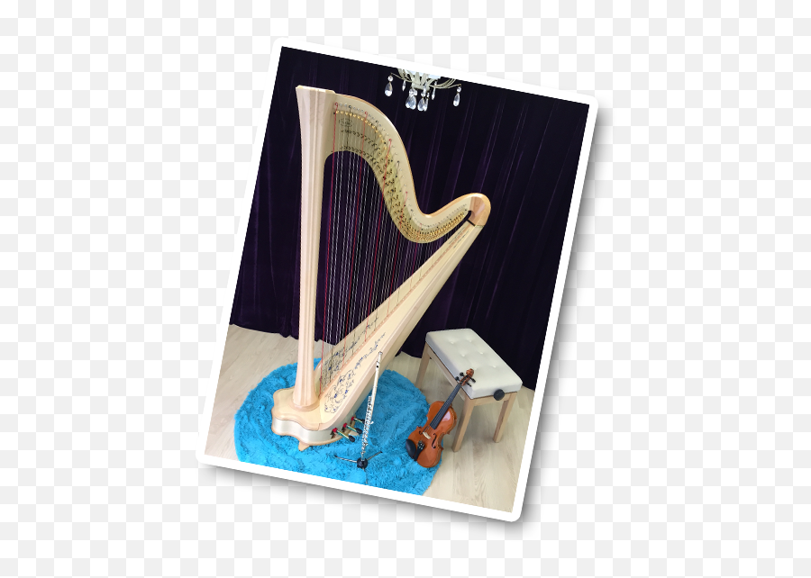 Our Professional - Harpist Png,Harp Png