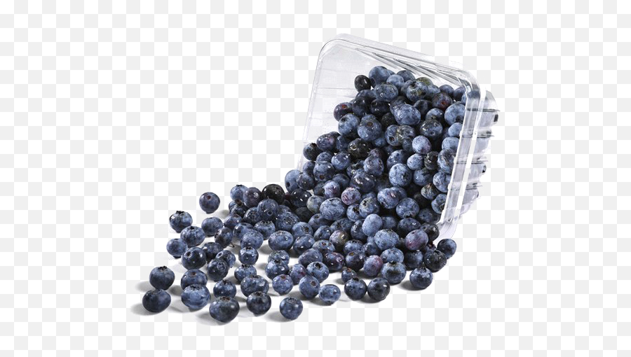 Blueberries Png Image Background Arts - Transparent Background Blueberries Png,Blueberries Png