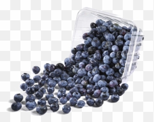 Blueberries Png Image Background Arts - Transparent Background Blueberries Png,Blueberries Png