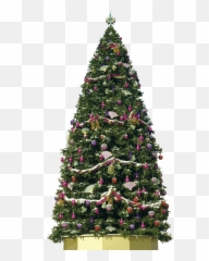 Download Free Png Christmas - Backgroundtreetransparent Big Christmas Tree Png,Christmas Tree Transparent Background