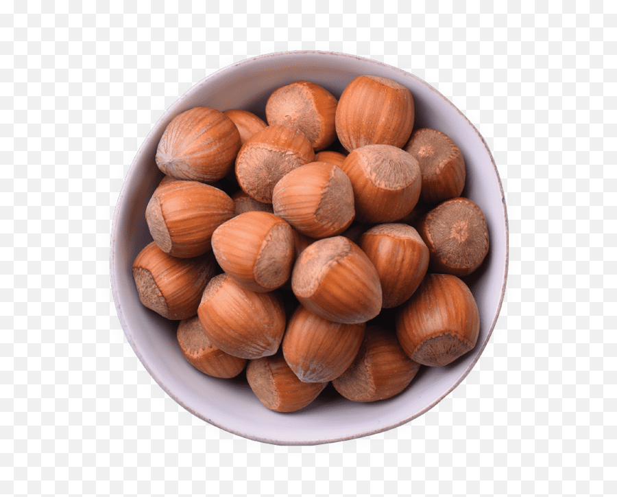 Nuts Vector Betel Nut Picture 2714381 - Walnut Png,Hazelnut Png