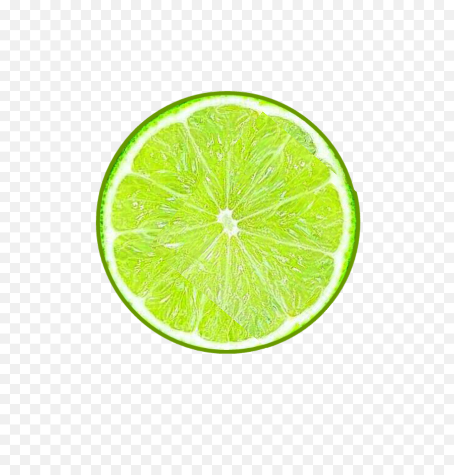 Slice Of Lime Png - Lime Stickers,Lemon Slice Png