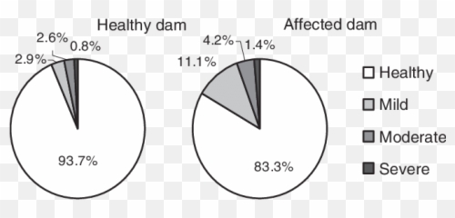 Frequency Of Different Levels Severity Summer Eczema - Circle Png,Offspring Logo