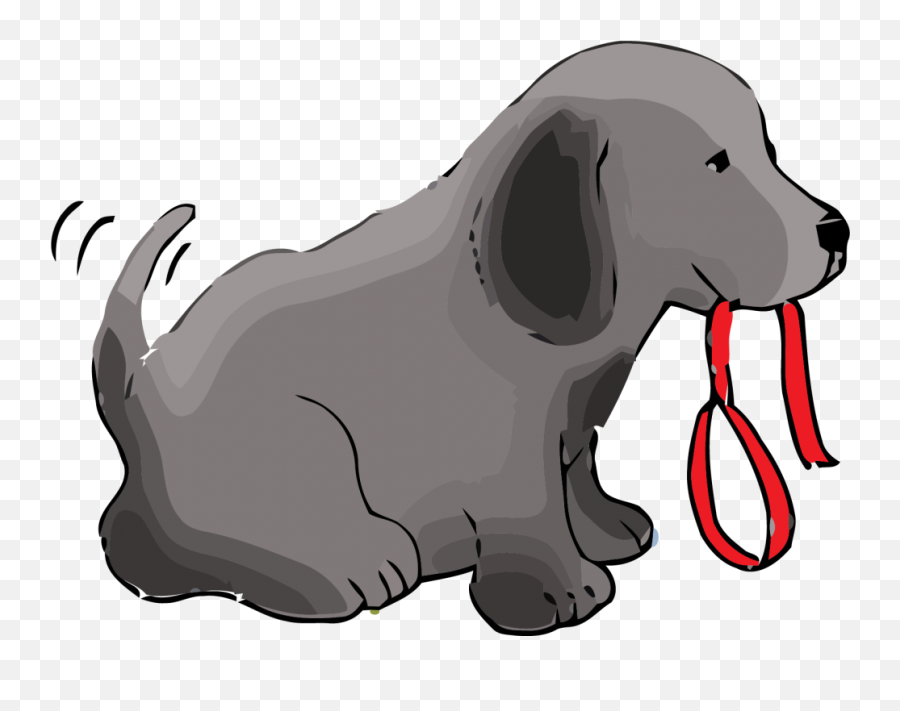 Funny Dogs Cute Dog With Leash Color - Labrador Retriever Png,Leash Png