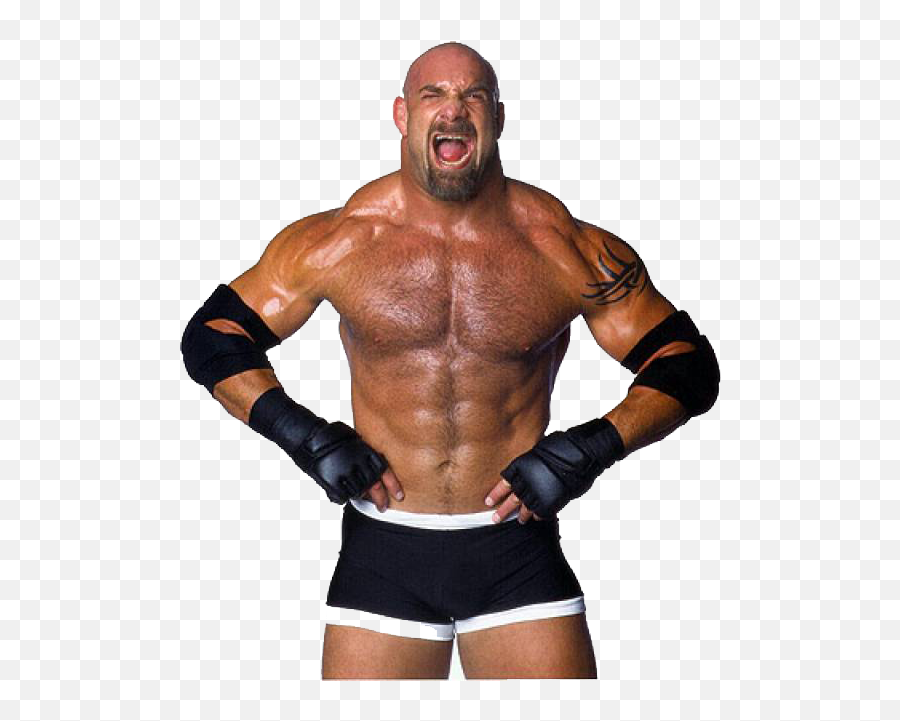 Bill Goldberg Png Photos - Bill Goldberg,Goldberg Png