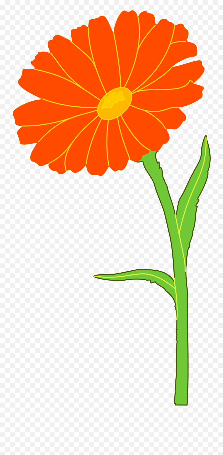 Marigold Png Clipart - Marigolds Clipart,Marigold Png