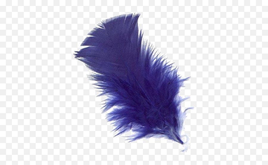 Png Background - Pluma Azul Png,Feather Transparent