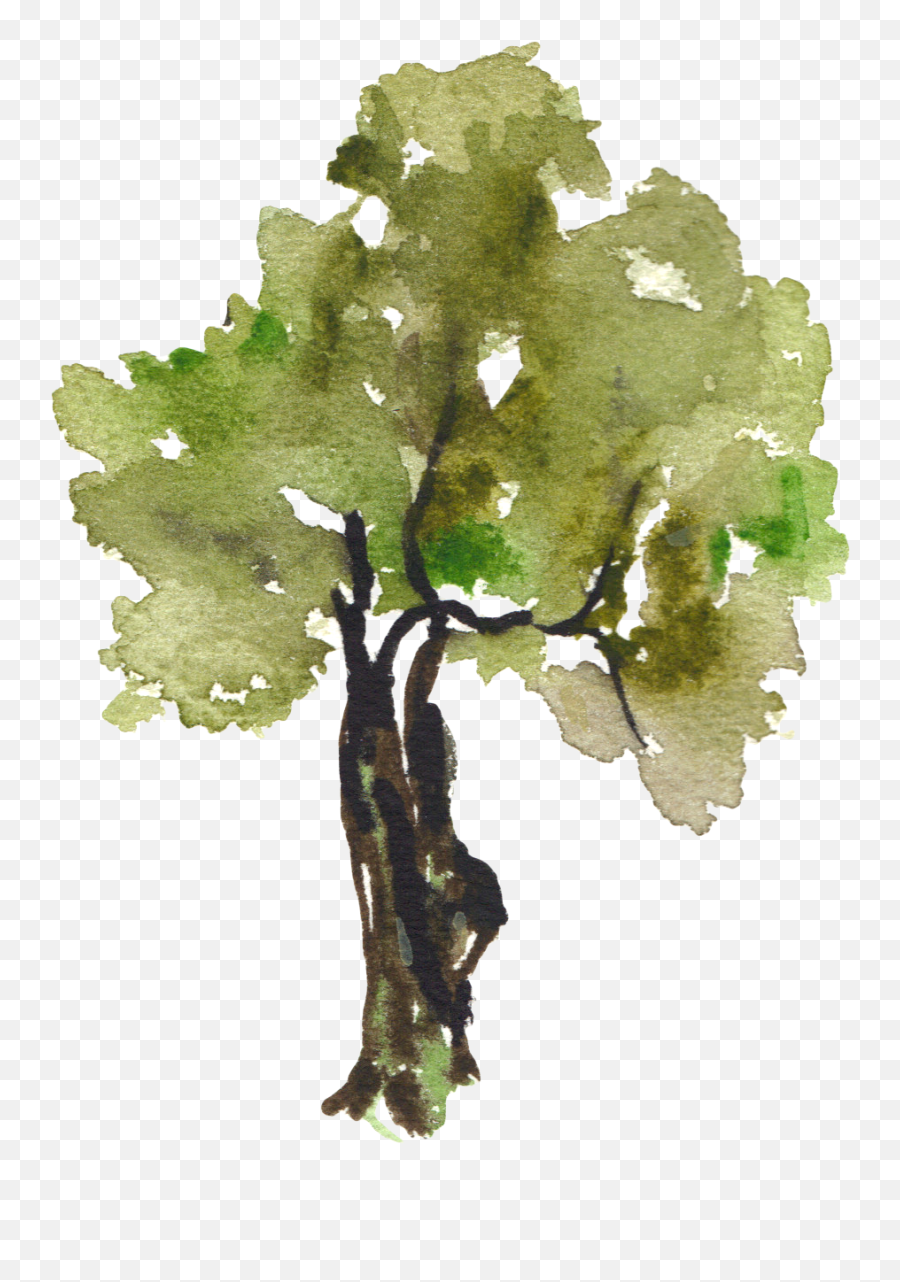Watercolor Tree Transparent Png - Png Watercolor Trees Free,Watercolor Tree Png