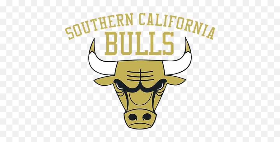 Socal Bulls Lacrosse - Socal Bulls Lacrosse Logo Png,Bulls Logo Png