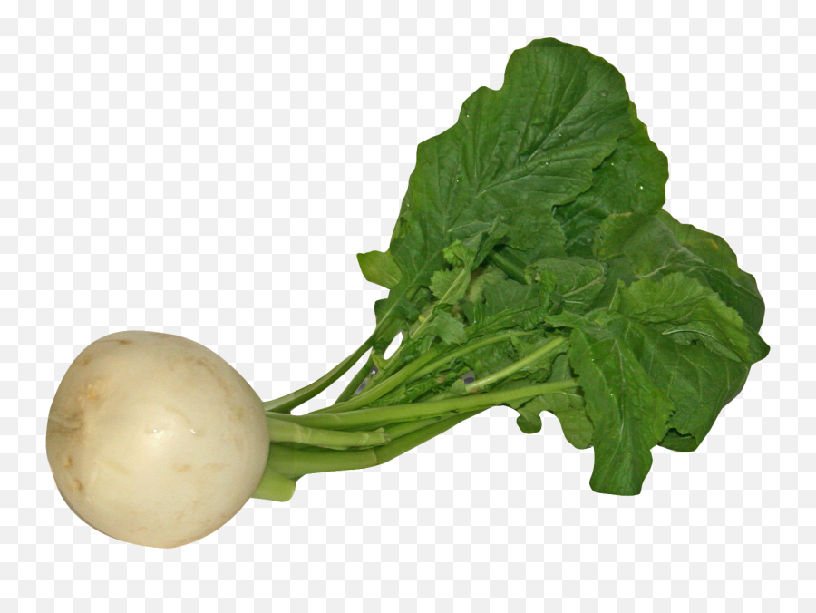 Download Turnip Png Image For Free Vegetables Transparent Background
