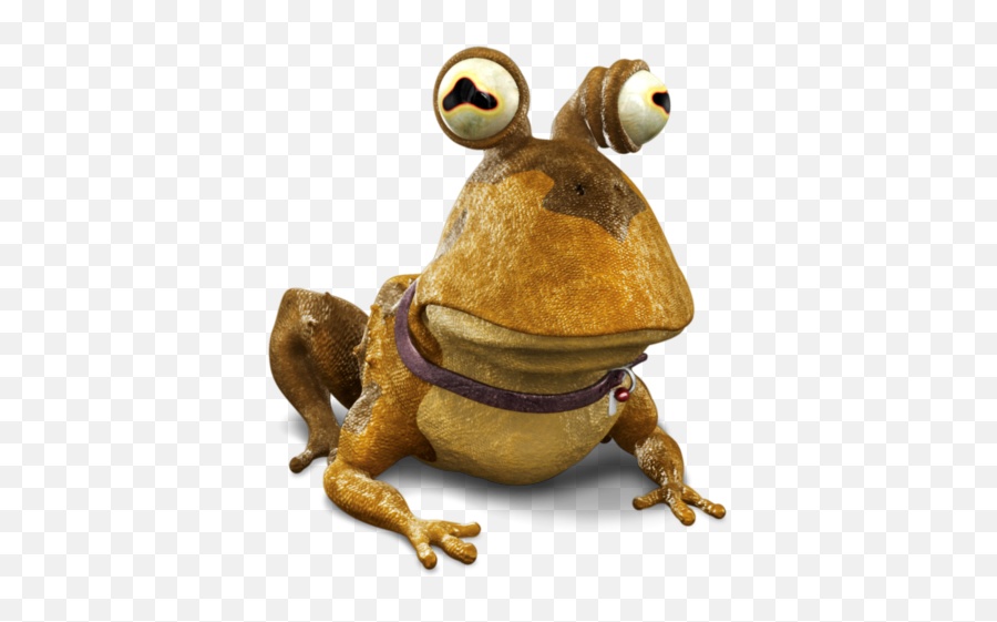 Toad Animal Hypnotoad Frog Icon - Hypnotoad Png,Frog Icon Png