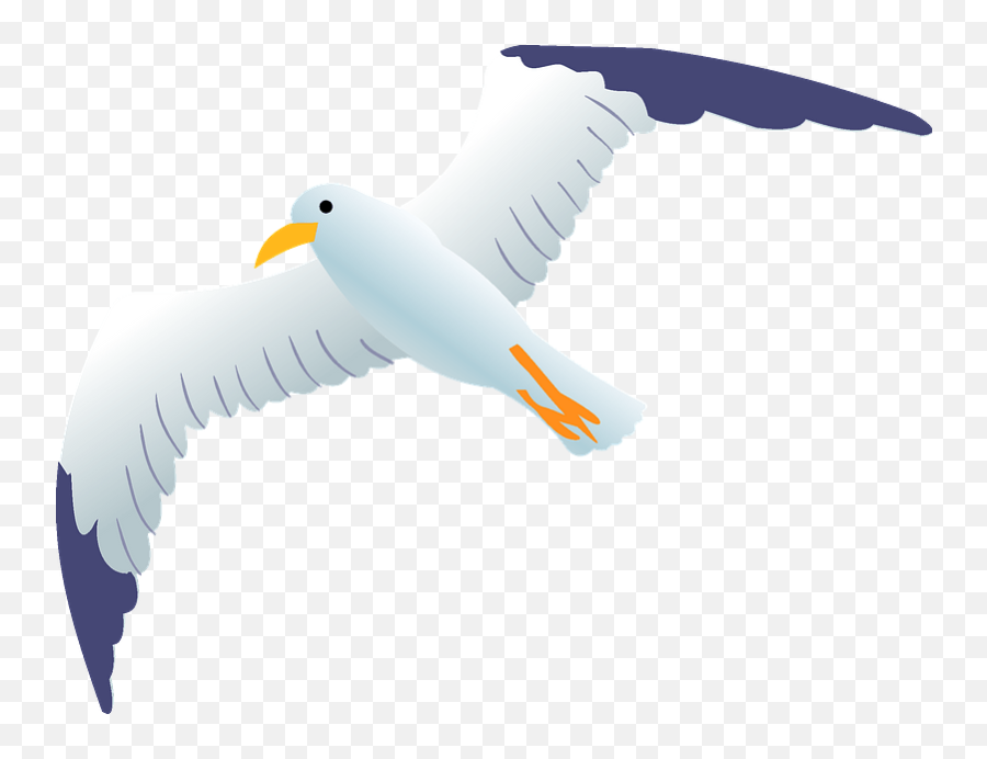 Sea Gull Clipart - Albatross Png Download Full Size Seagull Clipart Png,Seagull Icon