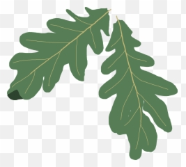 Oak Tree Clip Art Silhouette - Leaf Clipart Png