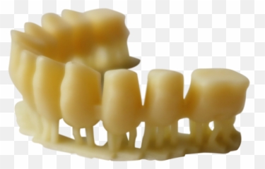 Carima - Horizontal png