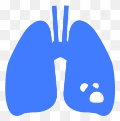 Lung Vector Icons Free Download In Svg Png Format - Language