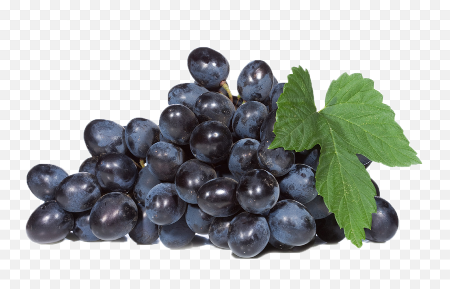 Black Grapes Png Image Download