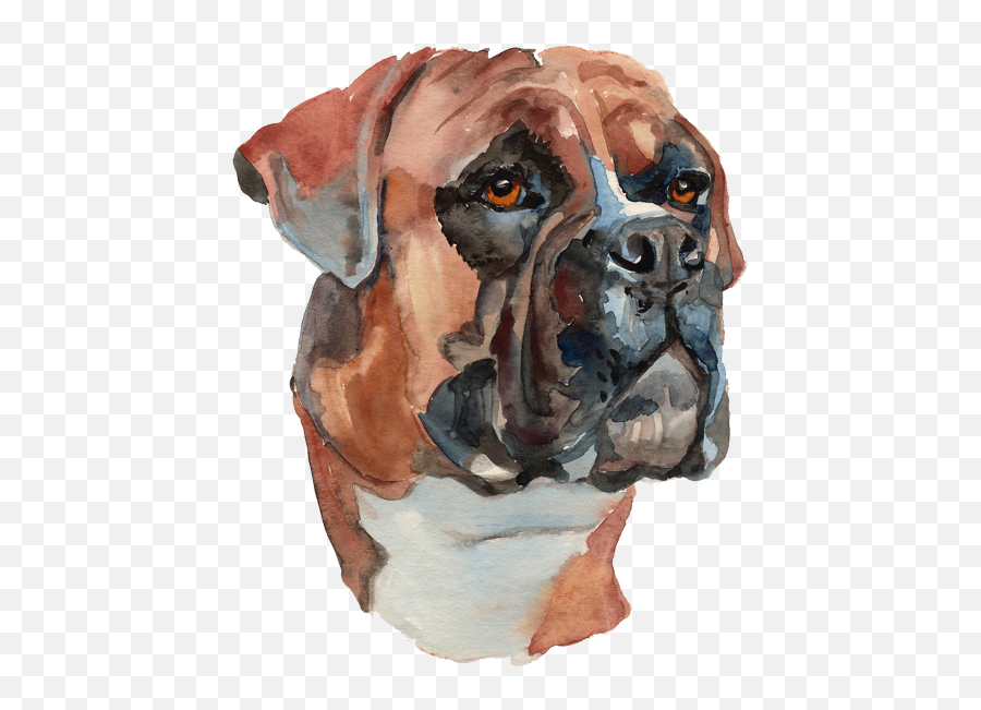 Water Color Painted Dog Png Hd - Watercolor Boxer Dog,Painting Png
