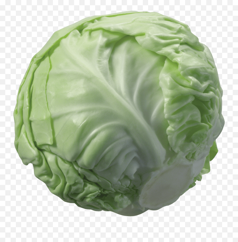Download Cabbage Png Image Hq - Funny Surreal Memes,Cabbage Png