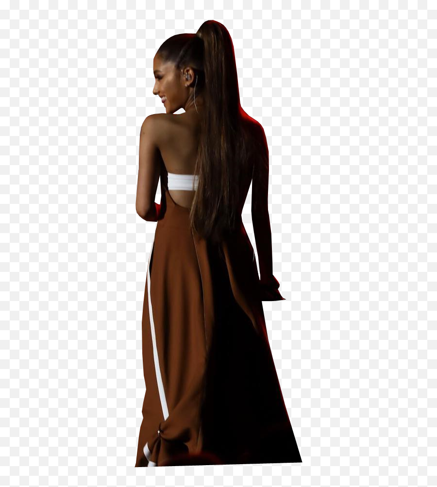 Imgur The Magic Of Internet - Ariana Grande Brown Dress Png,Ariana Grande Png