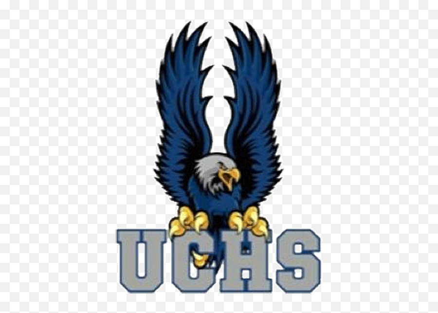 The Union City Soaring Eagles - Scorestream Union City High School Soaring Eagles Png,Soaring Eagle Png