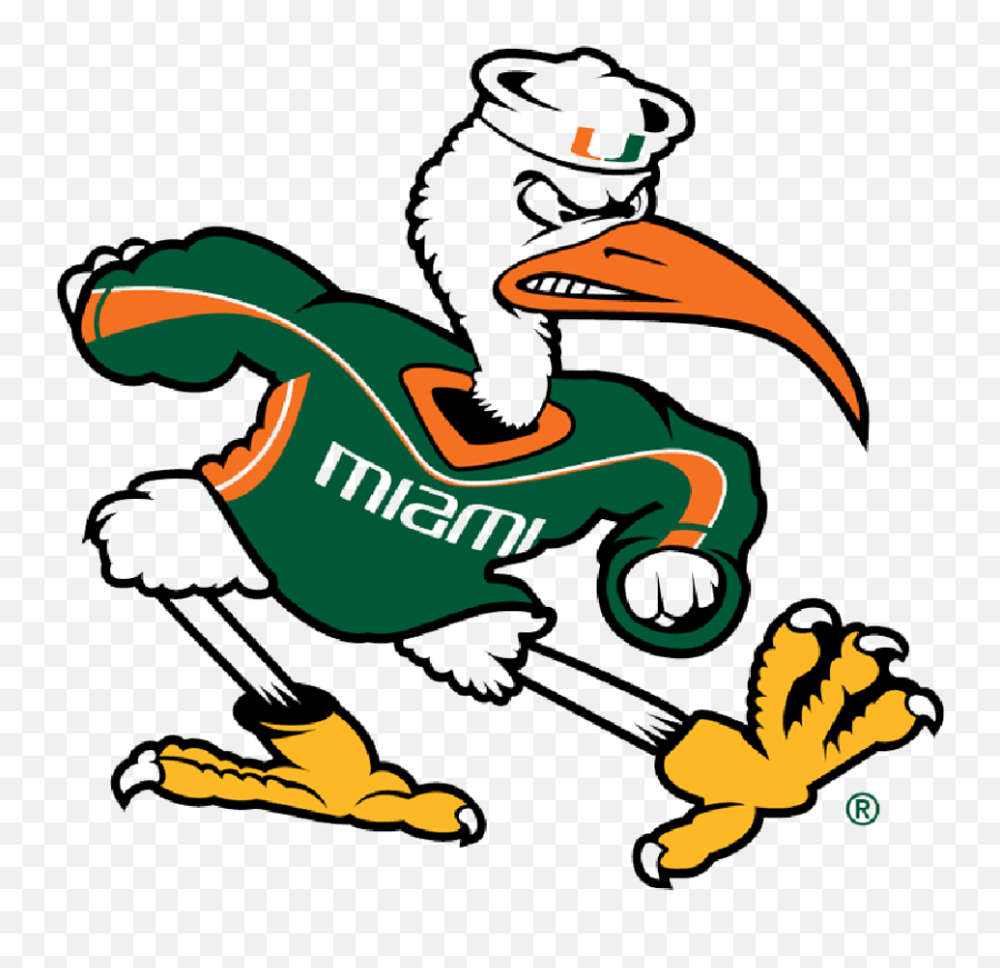 University Of Miami U2014 Daytripper Png