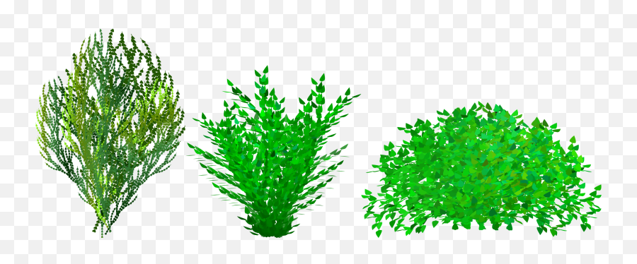 Clipart Bush Transparent Png - Clip Art Bushes,Shrubbery Png