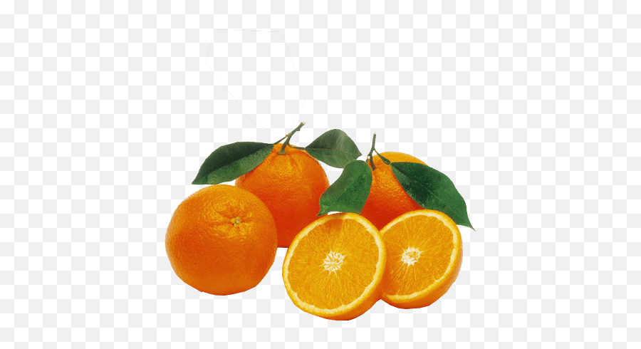 Oranges Transparent Image Free Png Images - Orange Valencia South Africa,Orange Transparent Background