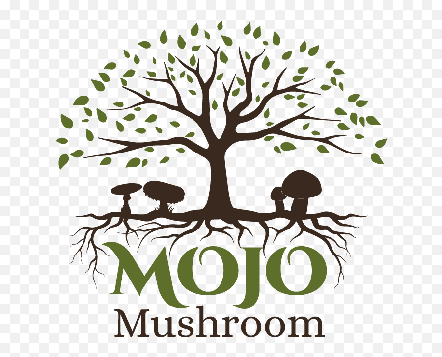 Home - Eco Club Logo For School Png,Mushroom Logo