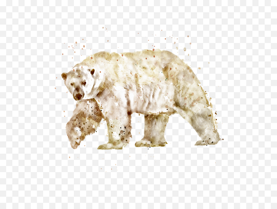 Watercolor Marian Voicu Transparent - Transparent Animal Watercolor Png,Polar Bear Transparent Background