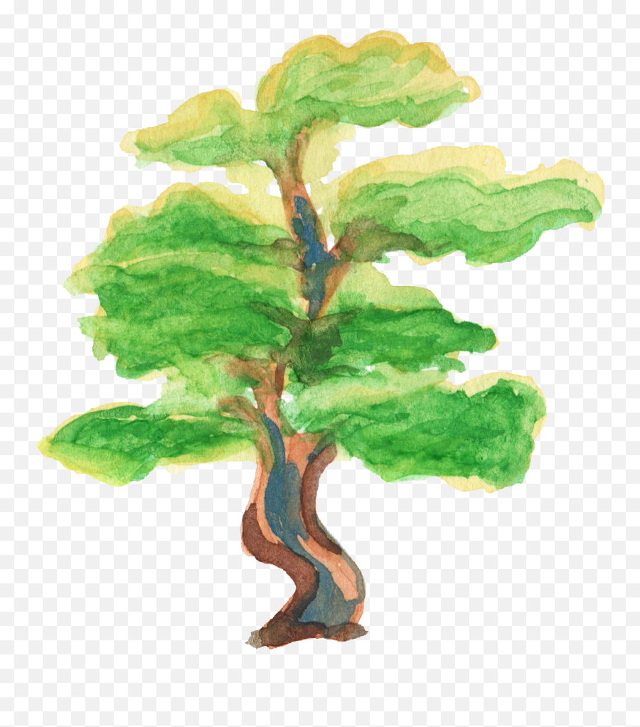 12 Watercolor Tree Transparent - Watercolor Painting Png,Watercolor Tree Png
