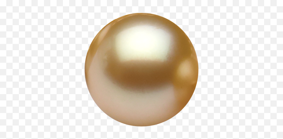 Download White Pearl Png - Gold Pearl Transparent Background,Pearl Transparent Background