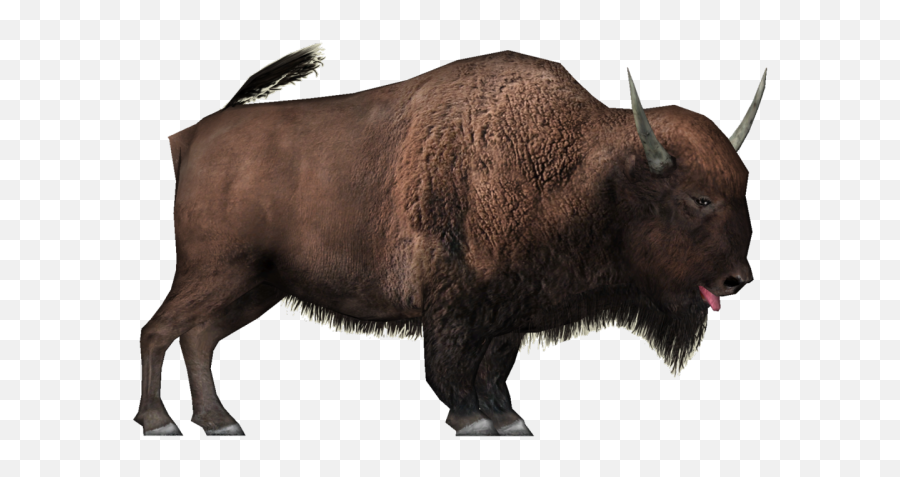 Yak Clipart White Background - Png Download Full Size American Bison Png,White Background Png