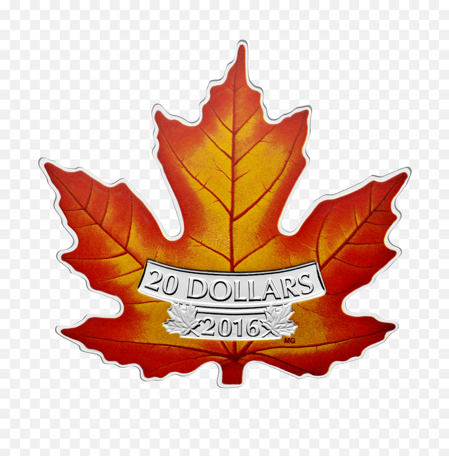 Download Hd Pure Silver Coloured Coin The Canadian Maple - Silver Coin Png,Canadian Leaf Png