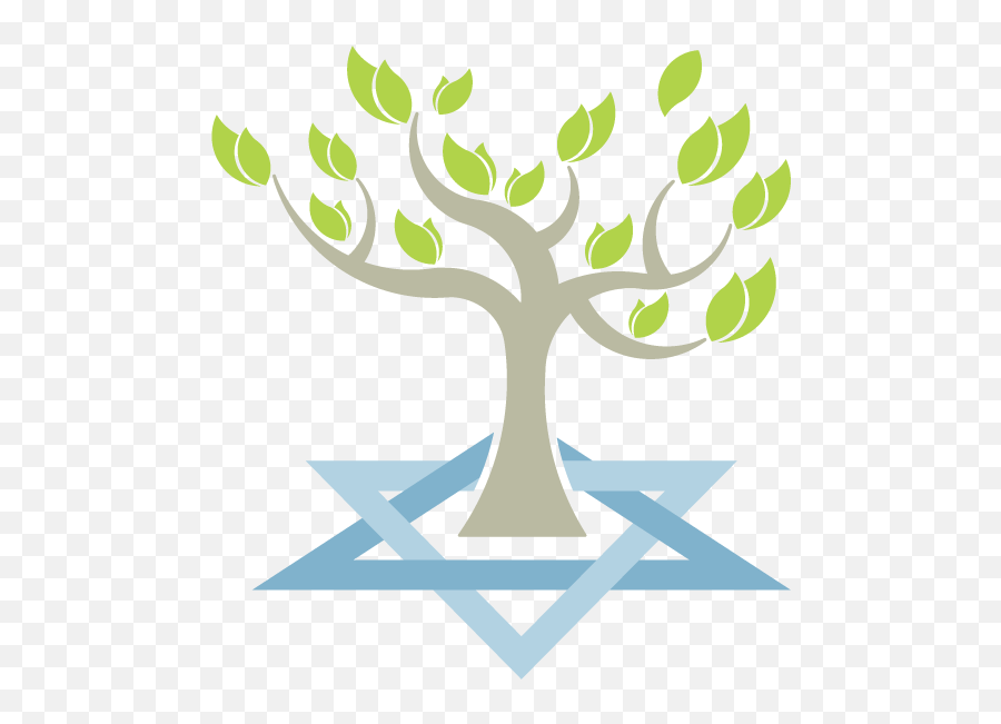 Congregation Beth Tikvah - Tree Of Life Jewish Star Tree Of Life Jewish Star Png,Tree Of Life Logo