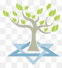 Congregation Beth Tikvah - Tree Of Life Jewish Star Tree Of Life Jewish Star Png,Tree Of Life Logo