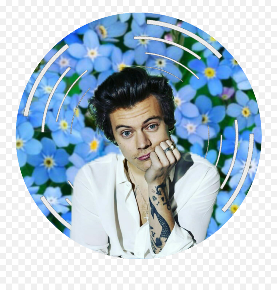 Harry Styles Transparent Png - Harry Styles Sticker Png,Harry Styles Png