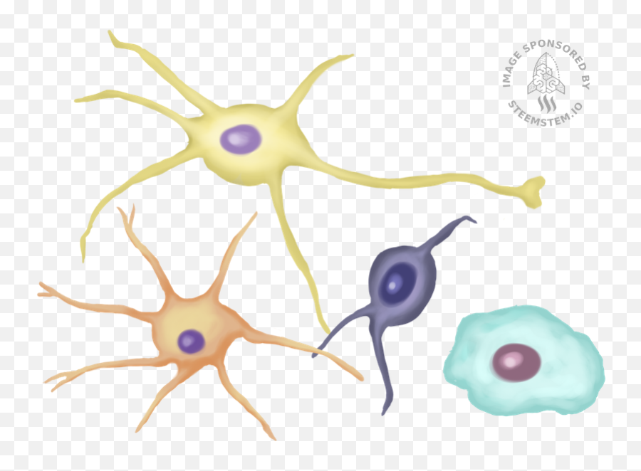 Neuron And Glial Cell U2014 Steemit - Bacteria Png,Cells Png