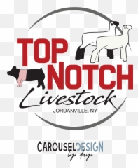 Logo Design Retail Logos - Language png