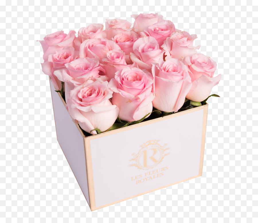 Rose Petal Pink - Lovely Png,Pink Rose Petals Png