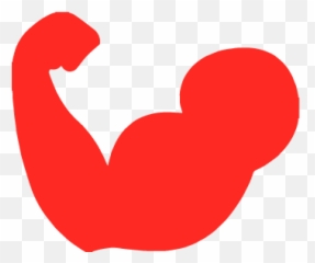 Bog Front Bike Fender - Language png