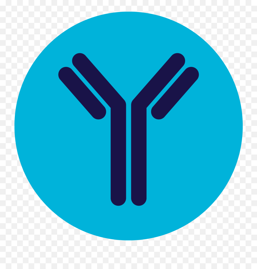 How Crysvita May Work U2013 Restoring Phosphorus Levels In The - Antibody Png,Kirin Icon